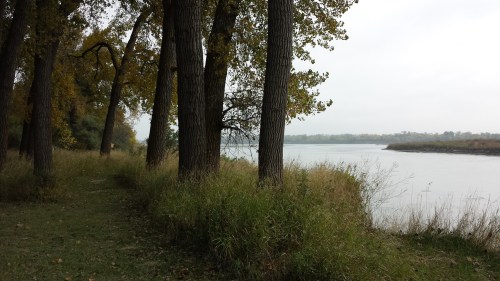 A serene riverside scene with tall trees and grassy banks under a cloudy sky.