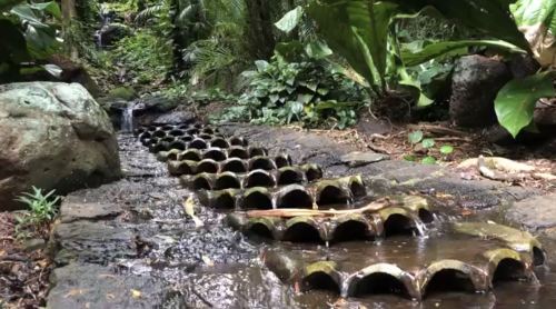 A winding stream flows over a series of curved stone tiles, surrounded by lush greenery in a tropical setting.