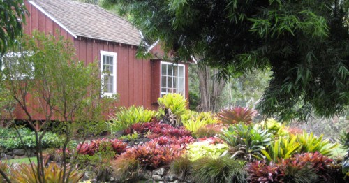 A red cottage surrounded by vibrant tropical plants and greenery in a serene garden setting.