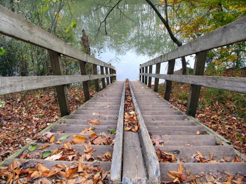 A wooden ramp leads down to a calm water body, surrounded by trees and scattered autumn leaves.