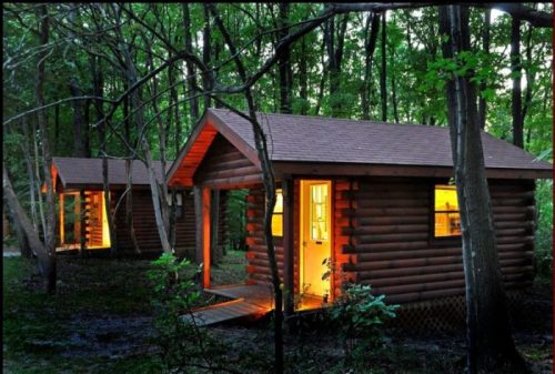 Two cozy log cabins nestled in a forest, illuminated warmly from within, surrounded by trees.