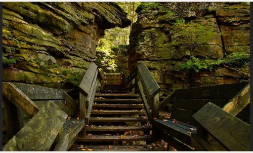 A wooden staircase leads through a rocky canyon, surrounded by lush greenery and moss-covered stone walls.