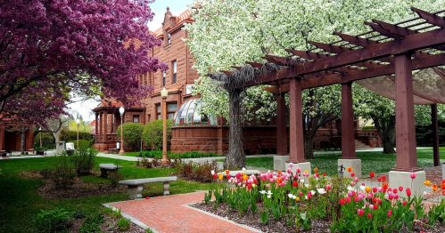 A vibrant garden with blooming trees, colorful tulips, and a historic building in the background.