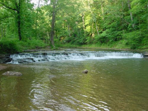 A serene river flows over a small waterfall, surrounded by lush green trees and a peaceful natural setting.