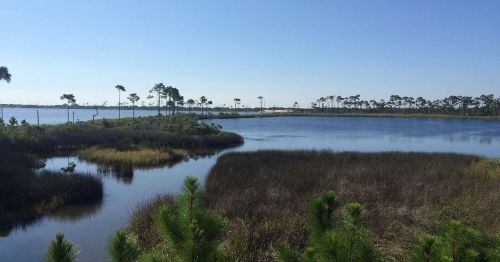 A serene landscape featuring a calm lake surrounded by lush greenery and tall trees under a clear blue sky.