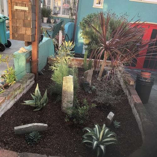A small garden bed with various plants, stones, and a wooden signpost in a colorful outdoor setting.