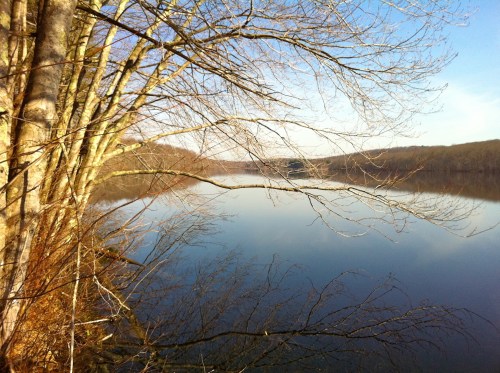 A serene river scene with bare trees reflecting on calm water under a clear blue sky.
