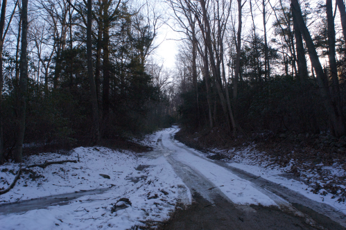 A winding dirt path through a snowy forest, surrounded by tall trees and a dusky sky.
