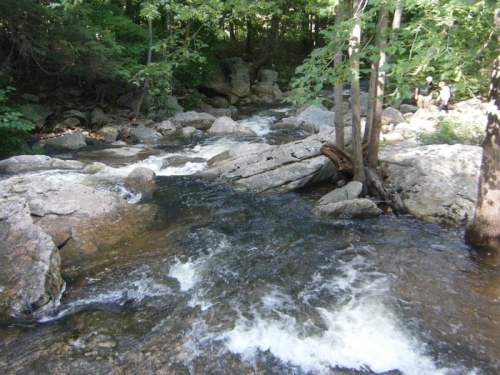 A serene stream flows over rocks, surrounded by lush green trees in a peaceful natural setting.