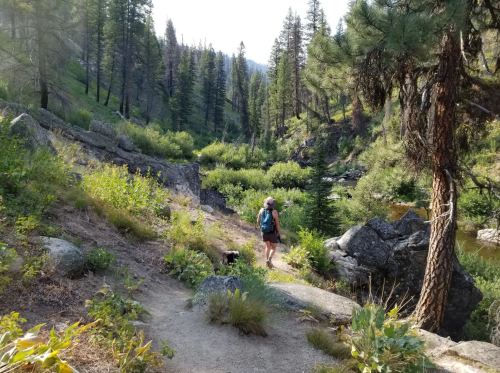 A person with a backpack walks a trail alongside a river, accompanied by a dog, surrounded by trees and rocks.