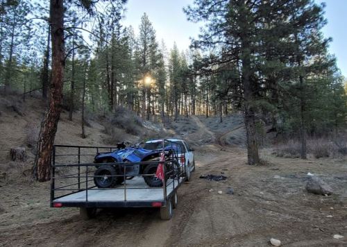 A pickup truck with an ATV on a trailer parked on a dirt road surrounded by tall pine trees at sunset.