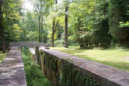 Overgrown stone ruins surrounded by lush green trees and grass in a serene forest setting.