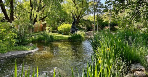 Scenic view of the sculpture garden pond at Nedra Matteucci Galleries, surrounded by lush trees and summer foliage.