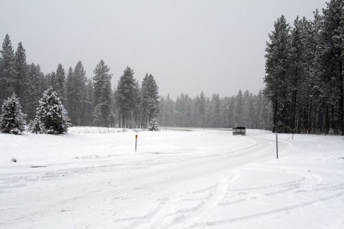 A snowy road curves through a forest of tall pine trees, with a vehicle driving in the distance.
