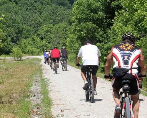 A group of cyclists riding on a gravel path surrounded by lush green trees.