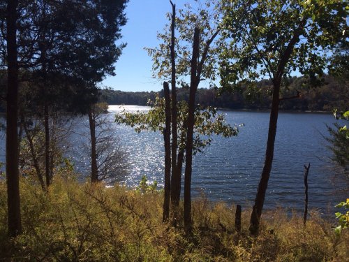 A serene lake surrounded by trees, reflecting sunlight on a clear day.