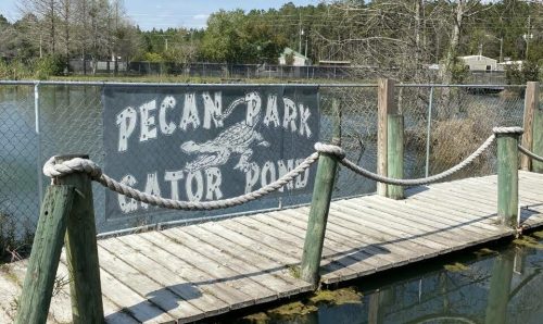 A wooden walkway leads to a fenced area labeled "Pecan Park Gator Pond," surrounded by trees and water.