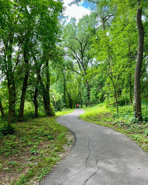 A winding path through a lush green forest with trees on either side and two people walking in the distance.