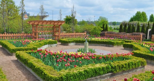 A vibrant garden with colorful tulips and neatly trimmed hedges, featuring a central fountain and wooden trellis.