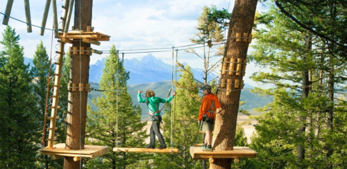 Two people navigate a high ropes course among trees, with mountains visible in the background.