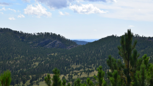 A scenic view of rolling green hills and rocky outcrops under a partly cloudy sky. Pine trees in the foreground.