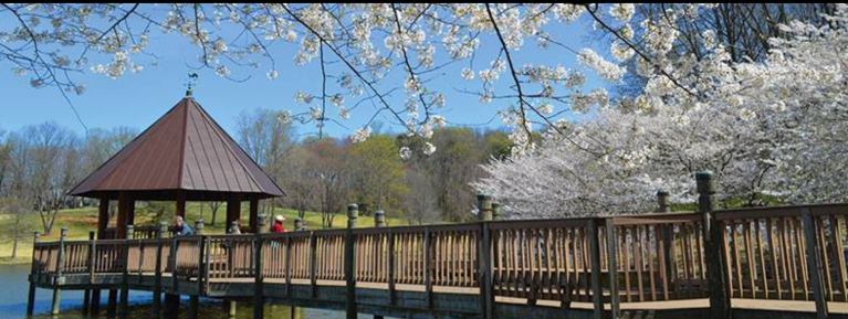 A Spring Stroll Through Meadowlark Botanical Gardens