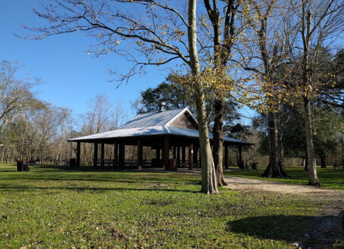 A wooden pavilion surrounded by trees in a park, with a clear blue sky overhead.