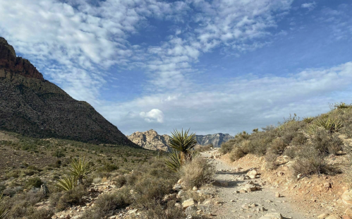 A rocky trail winds through a desert landscape with mountains and scattered vegetation under a partly cloudy sky.