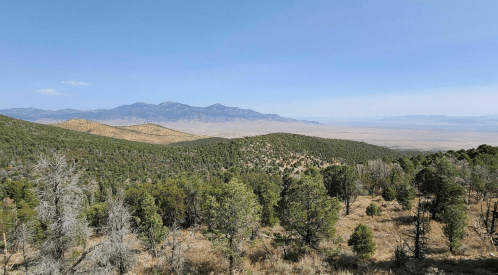 A panoramic view of rolling hills and mountains under a clear blue sky, with sparse trees in the foreground.