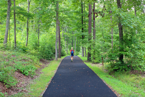 A person walks along a paved path through a lush green forest, surrounded by trees and foliage.