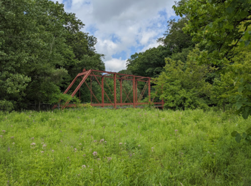 A red metal bridge stands amidst tall green grass and trees under a cloudy sky.