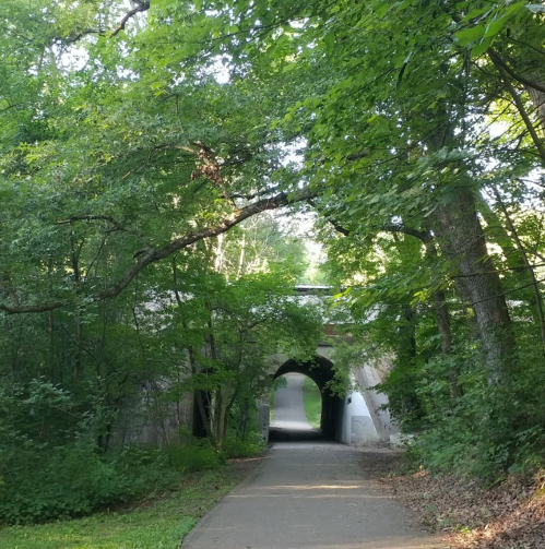 A tree-lined path leads to a stone archway, surrounded by lush greenery and dappled sunlight.
