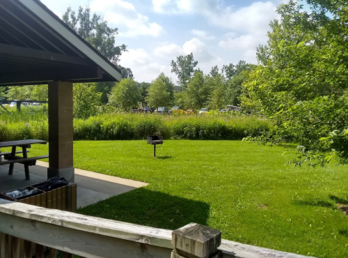 A grassy area with trees and a picnic shelter, featuring a grill and a view of parked cars in the background.
