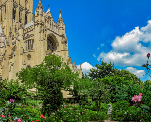 A lush garden with blooming flowers in front of a grand cathedral under a bright blue sky with fluffy clouds.