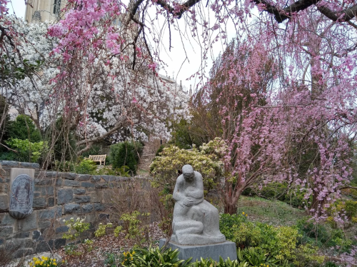 A stone sculpture of a seated figure surrounded by blooming cherry blossom trees in a serene garden setting.