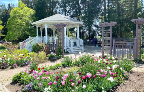 A gazebo surrounded by colorful tulips and greenery in a sunny park setting.