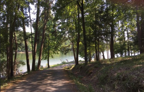 A serene path lined with trees leads to a calm lake, surrounded by lush greenery.