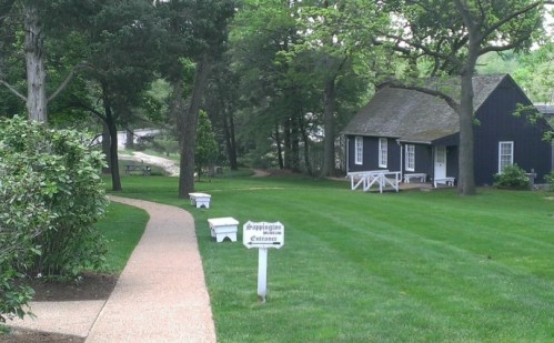 alt