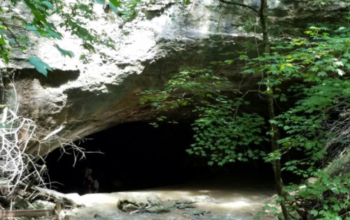 A dark cave entrance surrounded by lush green foliage and sunlight filtering through the trees.