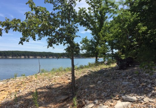 A serene lakeside scene with trees and rocky shoreline under a clear blue sky.