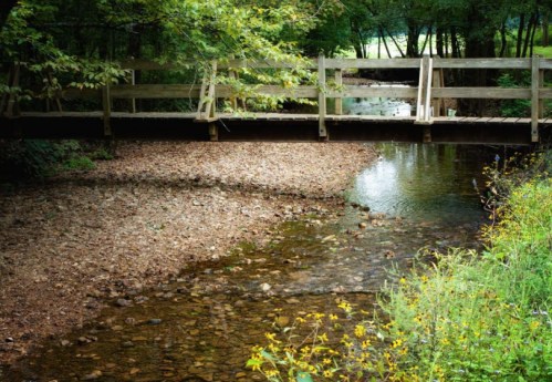 A wooden bridge spans a shallow stream, surrounded by trees and wildflowers in a serene natural setting.