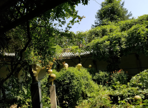 A lush garden with greenery and sculptures of heads peeking through the foliage under a clear blue sky.