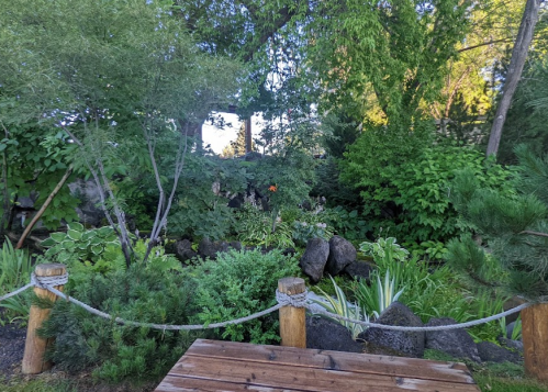 Lush garden scene with greenery, rocks, and a wooden railing in a serene outdoor setting.