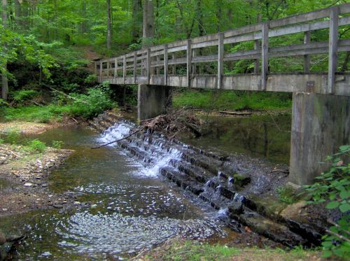 A wooden bridge spans a small stream with cascading water over stone steps, surrounded by lush green trees.