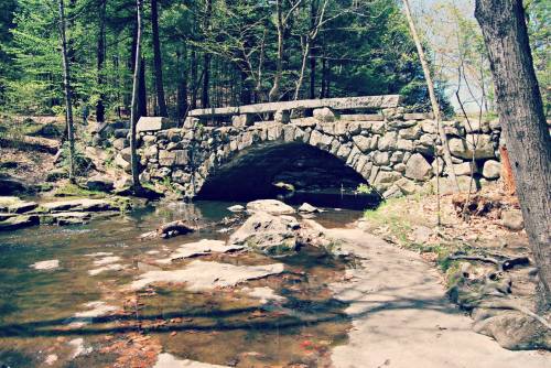 A stone arch bridge over a calm stream, surrounded by lush green trees and rocky banks in a serene forest setting.