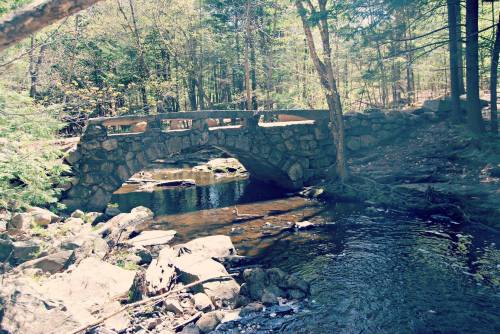 A stone bridge arches over a calm stream, surrounded by lush trees and rocky terrain in a serene forest setting.