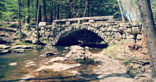 A stone arch bridge over a calm stream, surrounded by trees and rocky terrain in a serene natural setting.