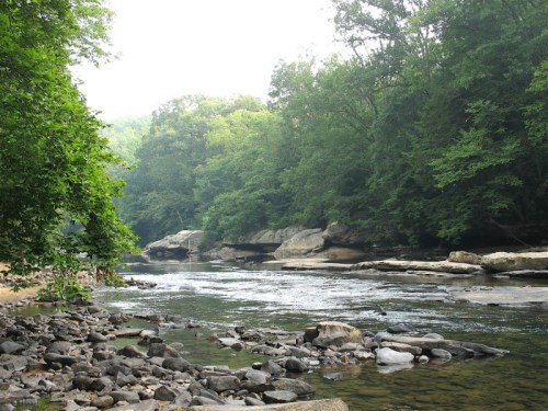 A serene river flows through a lush green forest, with rocky banks and gentle ripples on the water's surface.