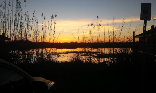 Sunset over a tranquil marsh, with tall grasses silhouetted against the colorful sky and calm water.