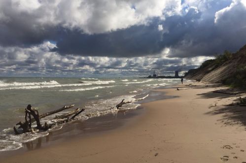 A sandy beach with driftwood, waves, and cloudy skies, featuring a distant industrial structure along the shoreline.